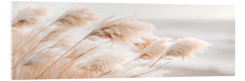 Acrylic print Pampas grass Idylle