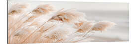 Aluminium print Pampas grass Idylle - Melanie Viola