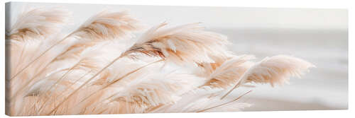 Lienzo Pampas grass Idylle