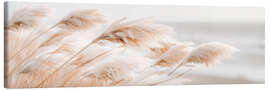 Lienzo Pampas grass Idylle - Melanie Viola