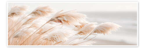 Poster Pampas grass Idylle