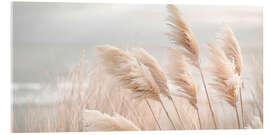 Cuadro de metacrilato Pampas grass in a gentle breeze - Melanie Viola