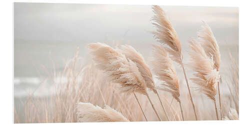 Foam board print Pampas grass in a gentle breeze