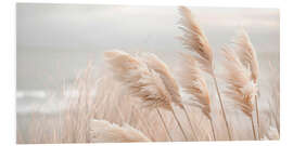 Foam board print Pampas grass in a gentle breeze - Melanie Viola