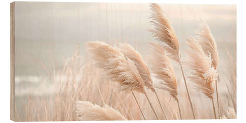 Cuadro de madera Pampas grass in a gentle breeze