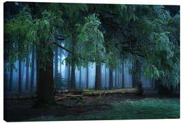 Canvas print Dark forest - Martin Podt