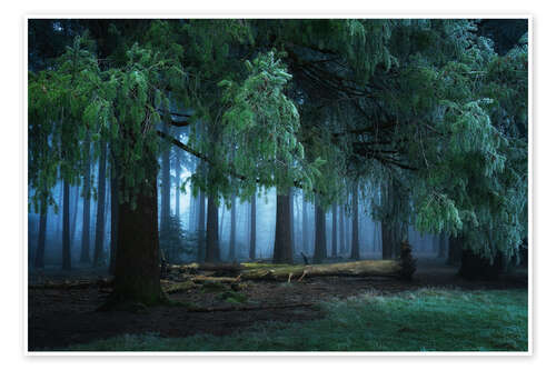 Poster Dark forest