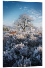 Acrylic print Lonely tree in a frozen world - Martin Podt