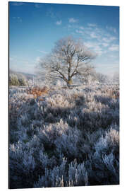Alubild Einsamer Baum in einer gefrorenen Welt - Martin Podt