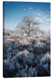 Canvas print Lonely tree in a frozen world - Martin Podt
