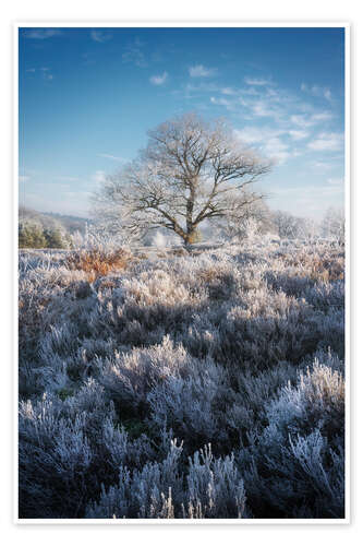 Poster Lonely tree in a frozen world