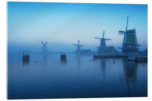 Quadro em acrílico Dutch windmills at blue hour