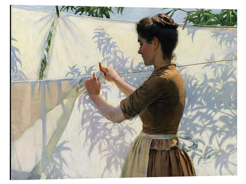 Aluminiumtavla Shadows, 1887