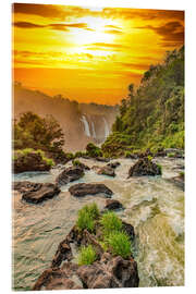 Akrylglastavla Iguazu Falls in the sunset light - HADYPHOTO