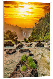 Wood print Iguazu Falls in the sunset light - HADYPHOTO