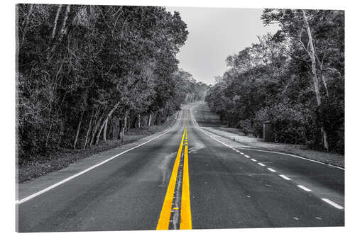 Obraz na szkle akrylowym Road through the rainforest near Iguaz, Argentina
