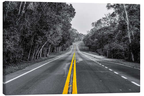 Canvas print Road through the rainforest near Iguaz, Argentina