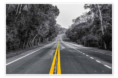 Plakat Road through the rainforest near Iguaz, Argentina