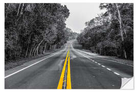 Wandsticker Straße durch den Regenwald bei Iguaz, Argentinien - HADYPHOTO