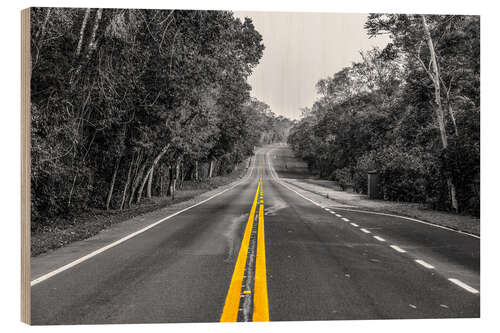 Wood print Road through the rainforest near Iguaz, Argentina