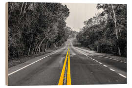 Wood print Road through the rainforest near Iguaz, Argentina - HADYPHOTO