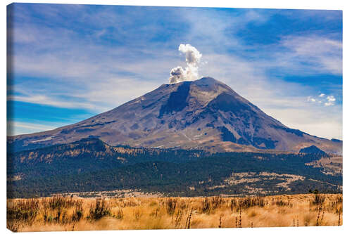 Canvas print Volcano Popocatepetl, Iztaccihuatl National Park, Mexico