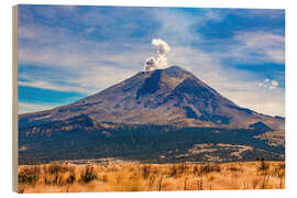 Cuadro de madera Volcano Popocatepetl, Iztaccihuatl National Park, Mexico - HADYPHOTO