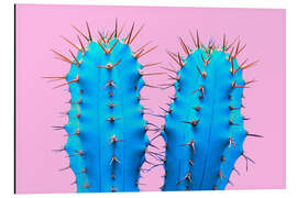 Aluminium print My Little Blue Cactus
