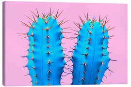 Stampa su tela My Little Blue Cactus