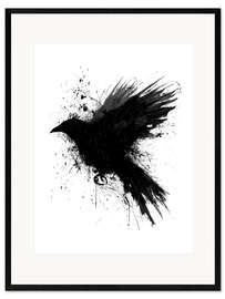 Framed art print Raven - Christian Klute