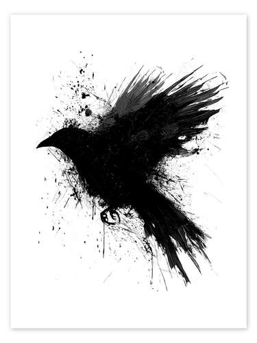 Poster Raven