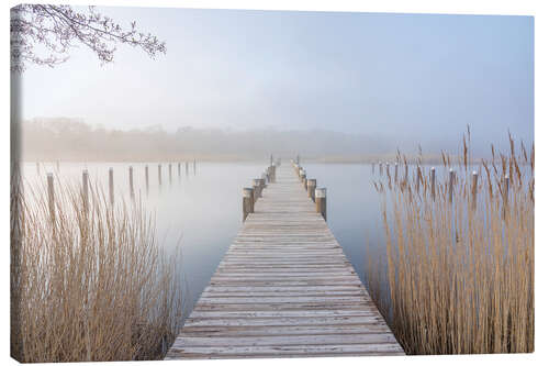 Lienzo Landing stage in the Boddenhafen of Prerow, Baltic Sea
