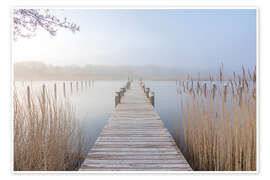 Reprodução Landing stage in the Boddenhafen of Prerow, Baltic Sea - Christian Müringer
