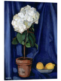 Quadro em acrílico Still Life with Lemons, 1920