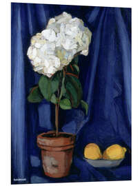 PVC print Still Life with Lemons, 1920