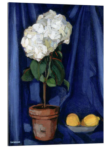 Cuadro de plexi-alu Still Life with Lemons, 1920