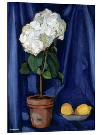 Cuadro de plexi-alu Still Life with Lemons, 1920