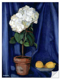 Wall sticker Still Life with Lemons, 1920
