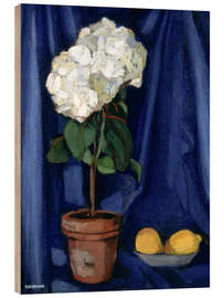 Quadro de madeira Still Life with Lemons, 1920