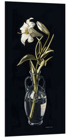 Print på skumplade Cut Flowers in Vases IV, 1938