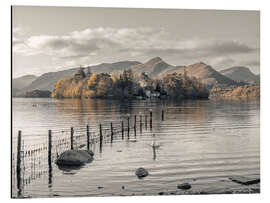 Cuadro de aluminio Lake District - Assaf Frank
