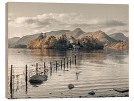 Cuadro de madera Lake District - Assaf Frank