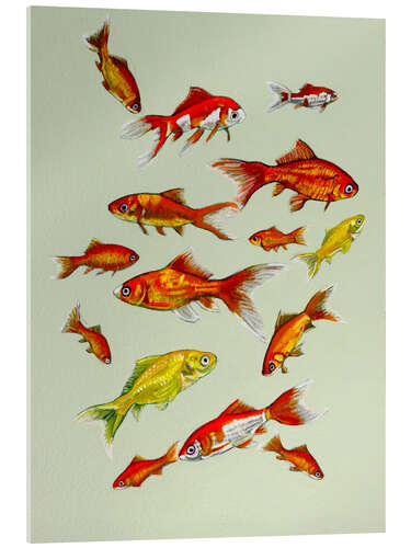 Acrylic print Goldfish on soft green