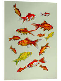Acrylic print Goldfish on soft green - Kate Kingdom