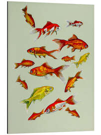 Stampa su alluminio Goldfish on soft green - Kate Kingdom
