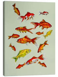 Canvas print Goldfish on soft green - Kate Kingdom