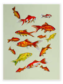 Billede Goldfish on soft green - Kate Kingdom