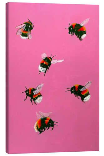 Canvas print Happy Bumblebees