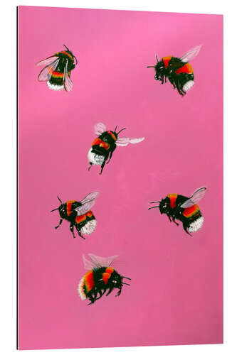 Gallery print Happy Bumblebees