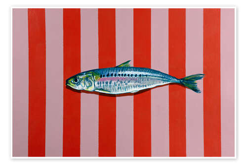 Plakat Sardine & Stripes